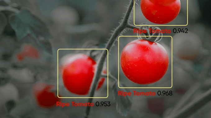 An illustration of AI in agriculture is shown in the form of tomatoes with harvest indications.
