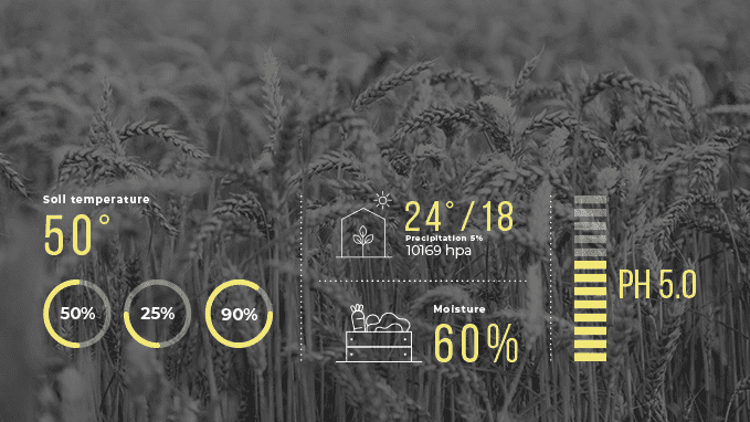 Analysis results showing soil temperature, moisture and many more, illustrate the concept of Smart farming, using modern technologies in agriculture.