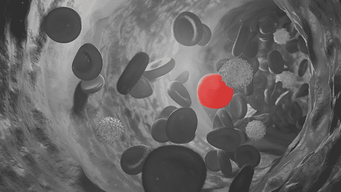 Image showing the flow of red blood cells in greyscale except for a single red cell.