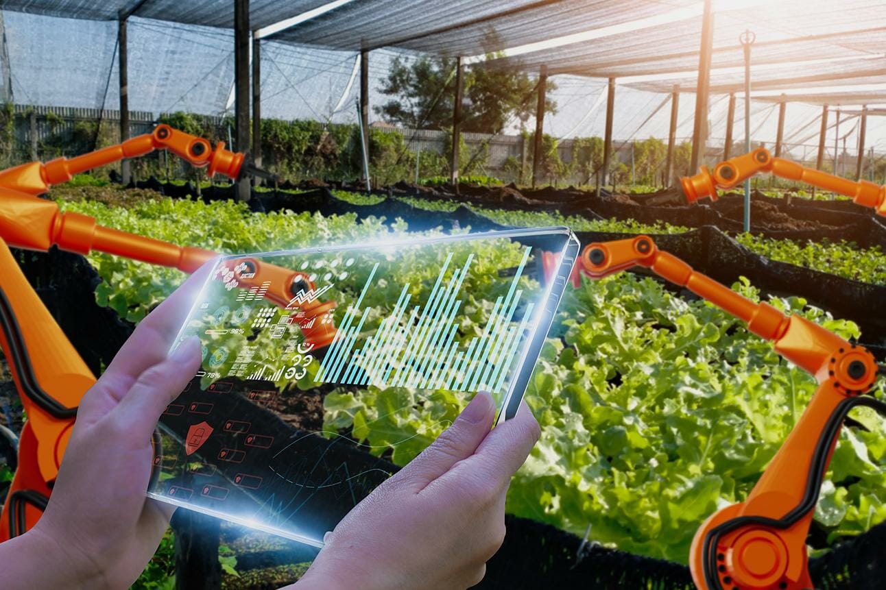 A smart farmer uses AI technology to inspect robotic harvests and soil quality using a digital tablet.